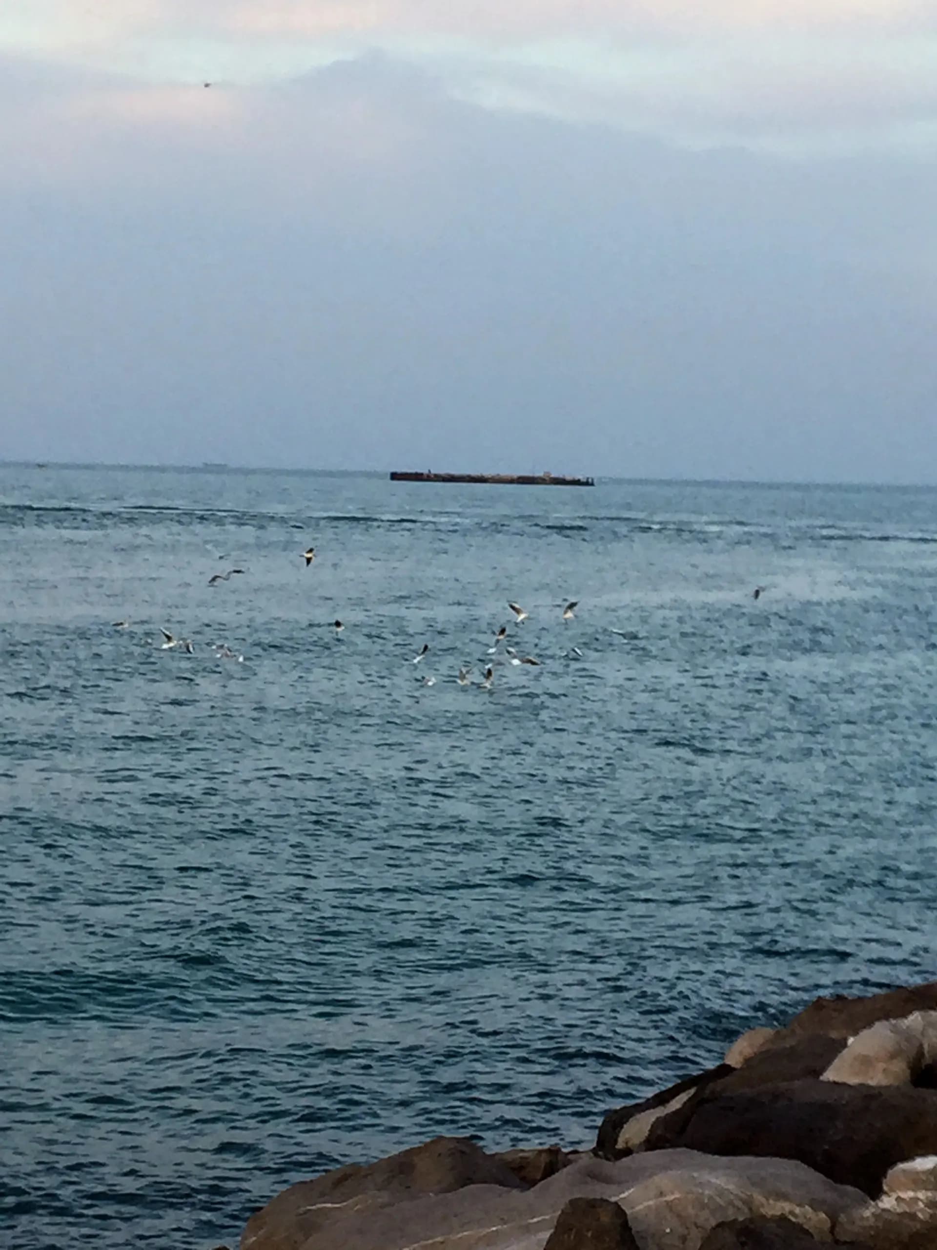 Failaka Ferry